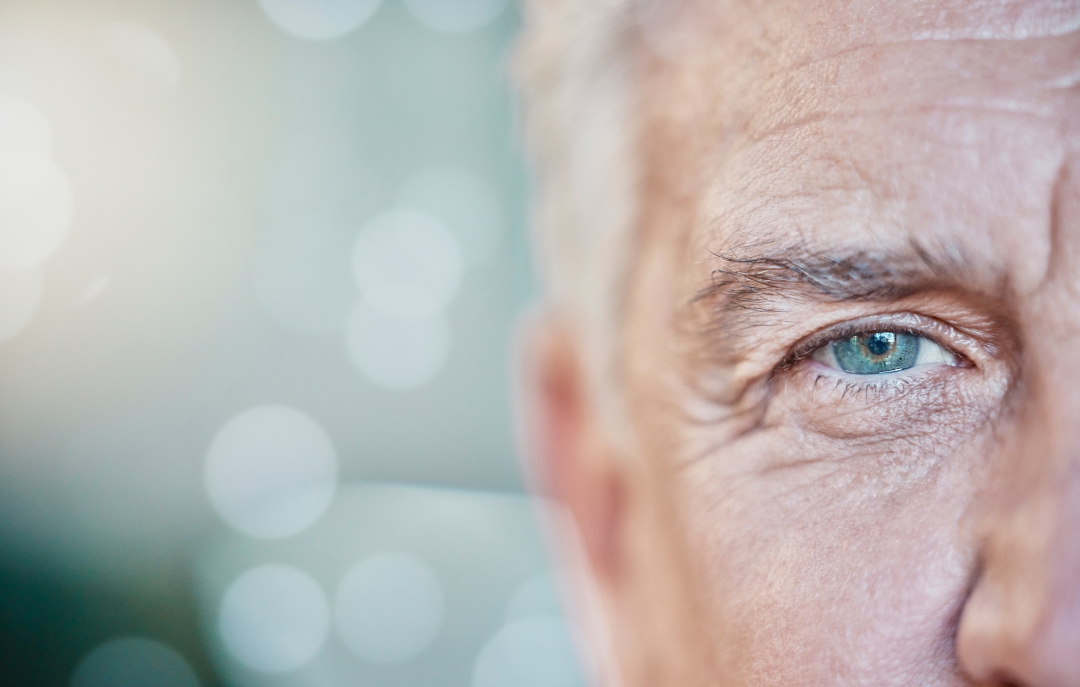 Rhein-Medical Vision Rhein-Medical Vision